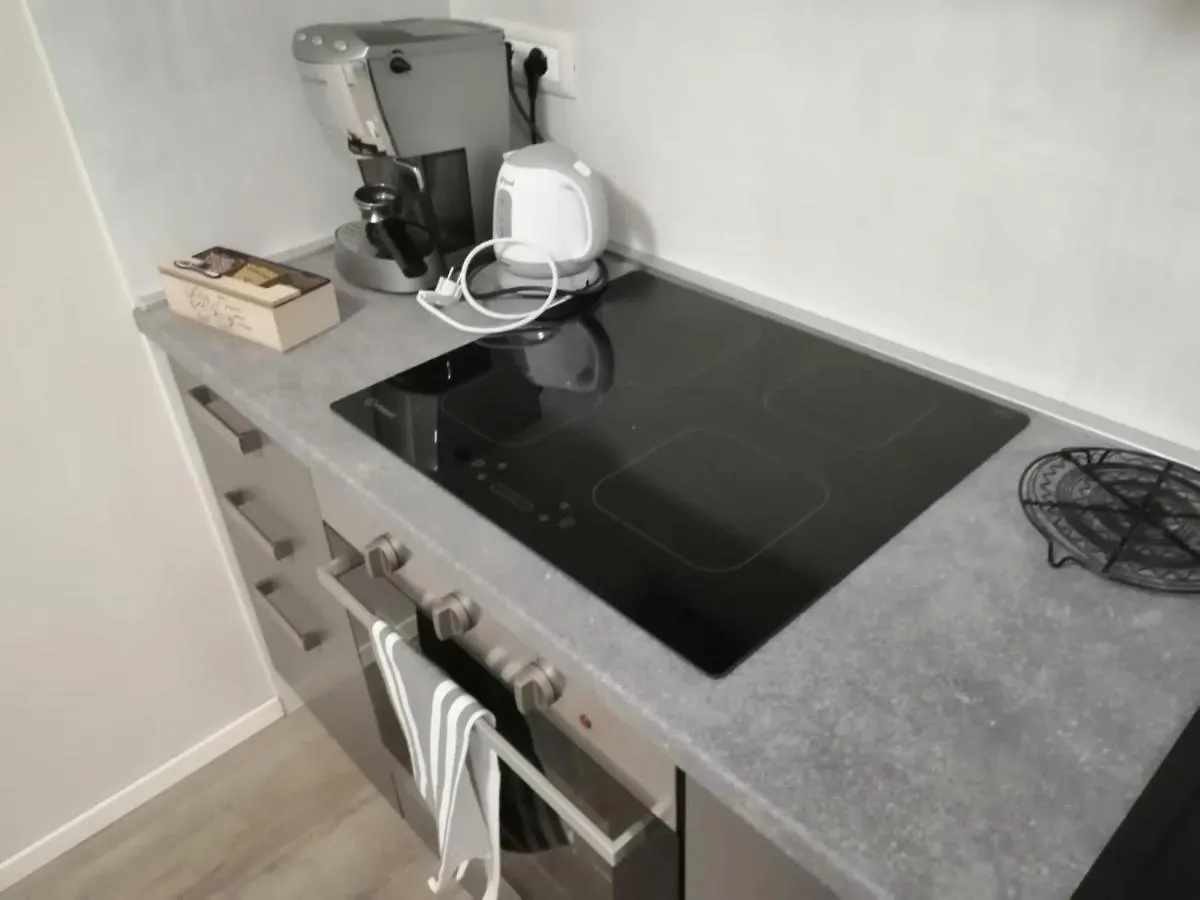 Il Piccolo Giardino Apartment Pisa